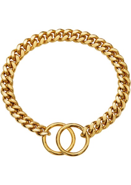 Altın Tarzı 10 Inç-25 cm Küba Zinciri Paslanmaz Çelik Metal Kaymaz Zincir Yaka Köpek Tasması Köpek Dekorasyon Köpek Tasması Büyük Köpek Yavrusu Evcil Hayvan Kolye (Yurt Dışından)