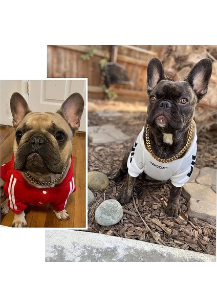 Altın Tarzı 10 Inç-25 cm Küba Zinciri Paslanmaz Çelik Metal Kaymaz Zincir Yaka Köpek Tasması Köpek Dekorasyon Köpek Tasması Büyük Köpek Yavrusu Evcil Hayvan Kolye (Yurt Dışından) fiyatları