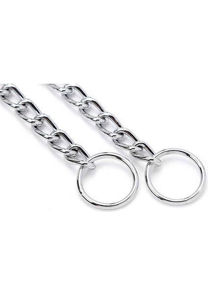 SL207C Stili 3,5MMX60CM Metal Demir Çift Üç Sıralı Köpek Zinciri Yaka Ayarlanabilir Şerit P-Tipi Pet Yaka Zinciri Büyük Köpek Tasmaları Kolye Martingale (Yurt Dışından) fırsatları