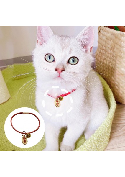 S Tarzı No.2 Boyutu Hafif Mükemmel Kırmızı Dize Kedi Köpek Tasması Emniyet Kemeri Esnek Pet Kolye Ev Kullanımı Için Ince Workma (Yurt Dışından)
