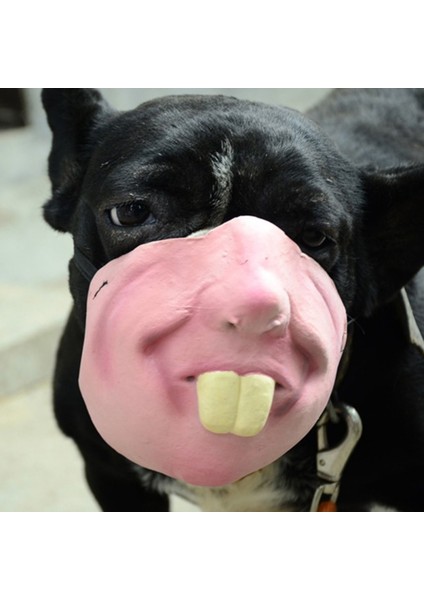 A4 Stili Xl Boyutu Cadılar Bayramı Korkunç Komik Köpek Namlu Demeti Silikon Anti-Bite Köpek Ağızlıklar Durdurma Kabuğu Bite Ağız Maskesi Ayarlanabilir Küçük Köpek Evcil Hayvanlar Için (Yurt Dışından) fırsatları