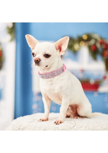 Turuncu Tarzı Xs Boyutu Yapay Elmas Köpek Tasması Yumuşak Süet Deri Köpek Kedi Tasması Kristal Elmas Köpüklü Pet Köpek Yavrusu Yaka Chihuahua Yorkshire Için (Yurt Dışından)