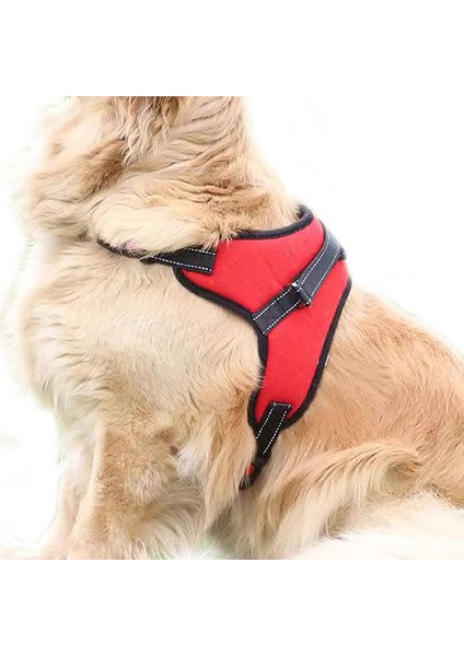 Leopar Tarzı S Beden Pet El Tutma Halatı Sınır Ötesi Sıcak Eyer Tarzı Anti-Patlama Göğüs Kemeri Pet Malzemeleri Orta ve Büyük Köpek El Tutma Ro (Yurt Dışından)