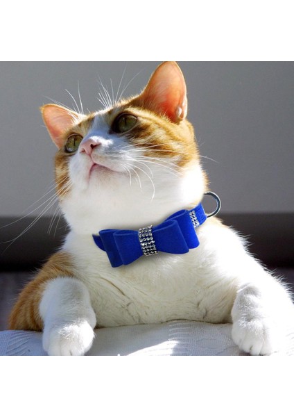 Siyah Stil Xl Boyutu Köpek Tasması Kristal Ev Deri Rbling Yastıklı Yay Düğüm Tam Taklidi Yumuşak Seude Yavru Kedi Pet Yaka Küçük Orta Irklar Için (Yurt Dışından) modelleri
