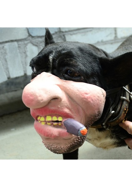A7 Tarzı Xl Boyutu Cadılar Bayramı Korkunç Komik Köpek Namlu Demeti Silikon Anti-Bite Köpek Ağızlıklar Durdurma Kabuğu Bite Ağız Maskesi Ayarlanabilir Küçük Köpek Evcil Hayvanlar Için (Yurt Dışından) fiyatları