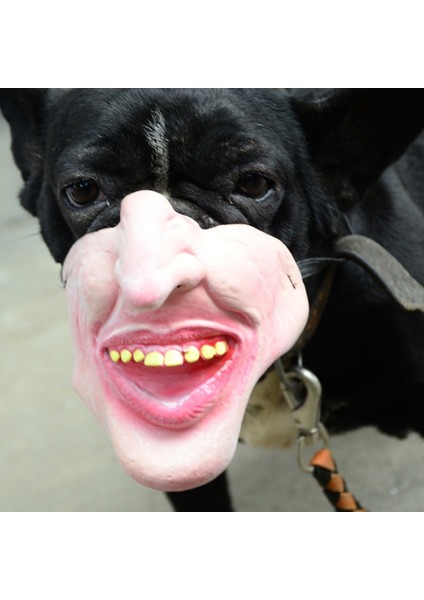 A7 Tarzı Xl Boyutu Cadılar Bayramı Korkunç Komik Köpek Namlu Demeti Silikon Anti-Bite Köpek Ağızlıklar Durdurma Kabuğu Bite Ağız Maskesi Ayarlanabilir Küçük Köpek Evcil Hayvanlar Için (Yurt Dışından) indirimleri
