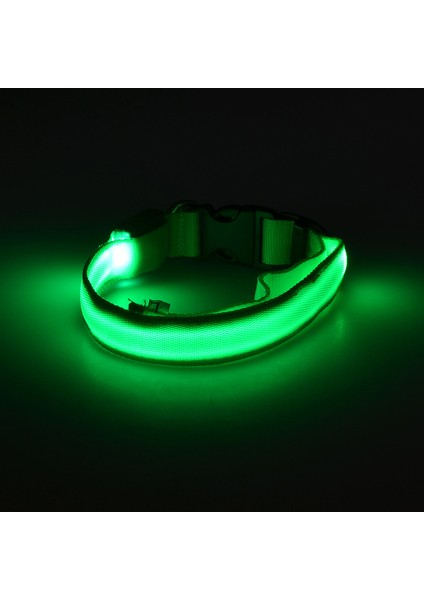 Yeşil Stil S Beden LED Pet Aydınlık Yaka Gece Güvenlik Yanıp Sönen Köpek Tasması Ayarlanabilir Köpek Tasması Küçük Köpek Kedi Için Parlayan Köpek Tasması Yaka Perro (Yurt Dışından)