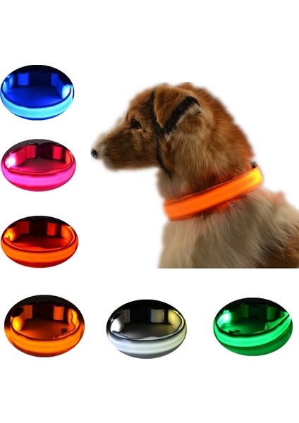 Mavi Stil M Boyutu LED Pet Aydınlık Yaka Gece Güvenlik Yanıp Sönen Köpek Tasması Ayarlanabilir Köpek Tasması Küçük Köpek Kedi Için Parlayan Köpek Tasması Yaka Perro (Yurt Dışından) fiyatları