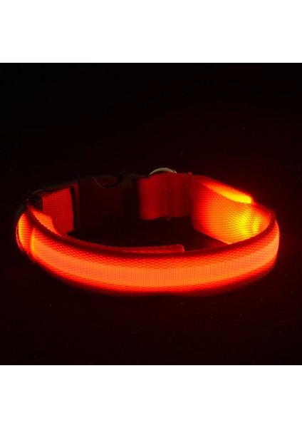 Mavi Stil M Boyutu LED Pet Aydınlık Yaka Gece Güvenlik Yanıp Sönen Köpek Tasması Ayarlanabilir Köpek Tasması Küçük Köpek Kedi Için Parlayan Köpek Tasması Yaka Perro (Yurt Dışından) indirimleri