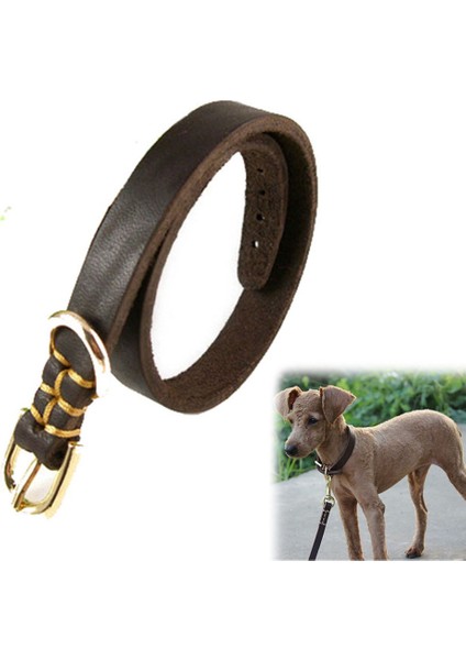 Kahverengi Tarzı M Boyutu Kahverengi Hakiki Deri Köpek Tasması Küçük Yavru Köpekler Için Köpek Yaka Ayarlanabilir Gerçek Deri Evcil Hayvan Tasmaları Kediler Için Küçük Orta Köpekler (Yurt Dışından) fiyatları