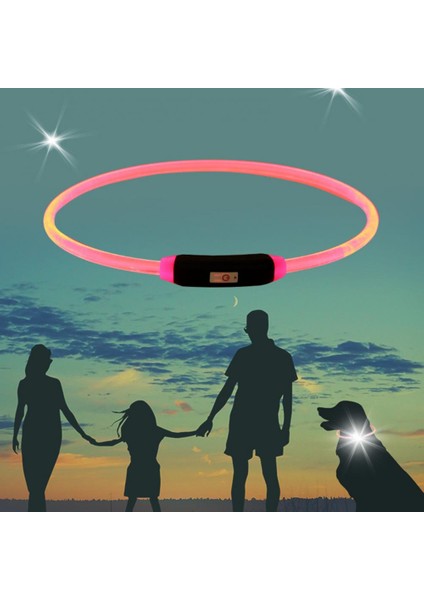 Beyaz Stil Köpek Için Pet Yaka Ayarlanabilir USB Şarj Plastik LED Işıklı Anti-Kayıp Boyunbağı (Yurt Dışından) fırsatları