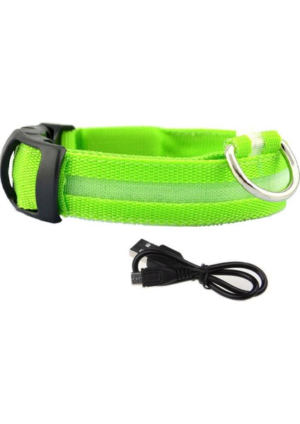 Yeşil Stil Xs Boyutu USB Şarj Edilebilir Anti-Kayıp Yanıp Sönen Yaka Pet Kolye LED Köpek Yavrusu Hafif Tel Örgü Yalıtım Levhası Flaş (Yurt Dışından)