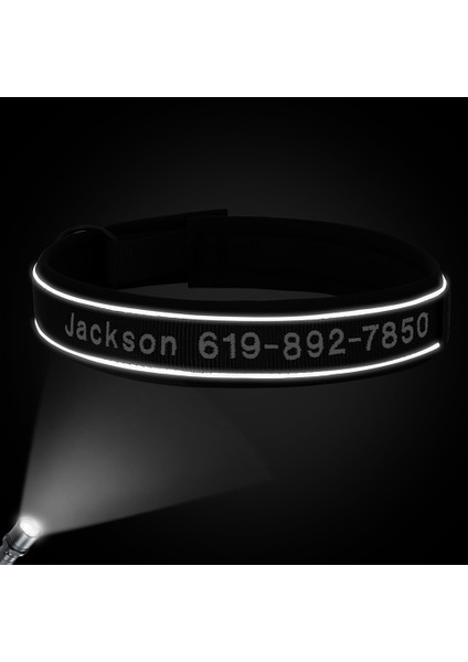 Siyah Stil M Boyutu Kişiselleştirilmiş Naylon Köpek Tasması Yansıtıcı Işlemeli Köpek Tasması Özel Pet Köpek Kımlık Etiketi Aksesuarları Yaka Köpek Malzemeleri Perro (Yurt Dışından) fırsatları