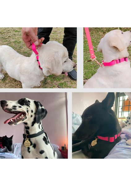 Siyah Stil L Boyutu Bir Köpek Için Su Geçirmez Yaka Pvc Tasma Saplı Köpek Için Su Geçirmez Köpek Tasması Pvc Tasma Bir Köpek Için Su Geçirmez Tasma (Yurt Dışından) modelleri