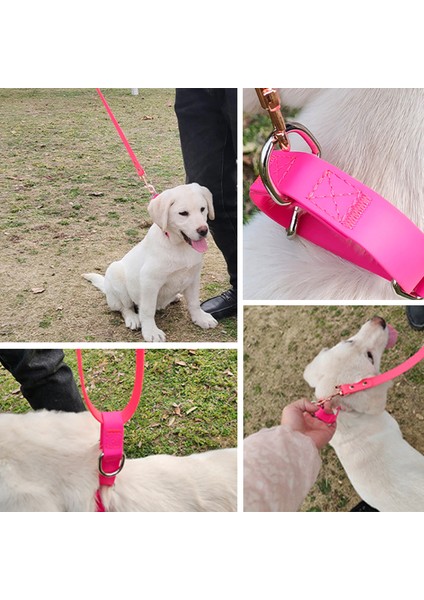 Siyah Stil L Boyutu Bir Köpek Için Su Geçirmez Yaka Pvc Tasma Saplı Köpek Için Su Geçirmez Köpek Tasması Pvc Tasma Bir Köpek Için Su Geçirmez Tasma (Yurt Dışından) fırsatları