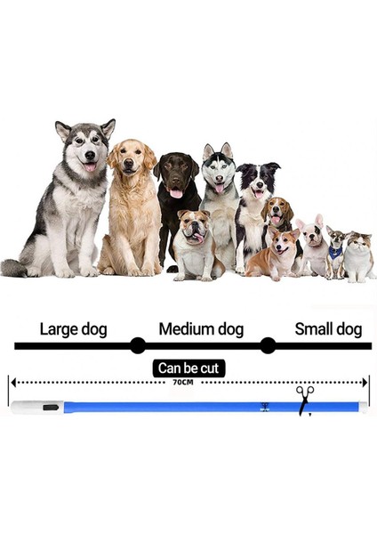 Yeşil Stil Yüksek Li Köpek Parlayan Yaka Hafif LED Yaka Ayarlanabilir Cilt-Afinite Gece Güvenliği Yanıp Sönen Parlayan Yaka (Yurt Dışından) indirimleri