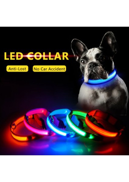 Mavi Stil Xl Boyutu Şarj Edilebilir Yanıp Sönen Gece Köpek Tasmaları USB Işıklı Ayarlanabilir Pet Yaka LED Işık Şarj Kedi Parlayan Teddy Flaş Yaka (Yurt Dışından) fiyatları