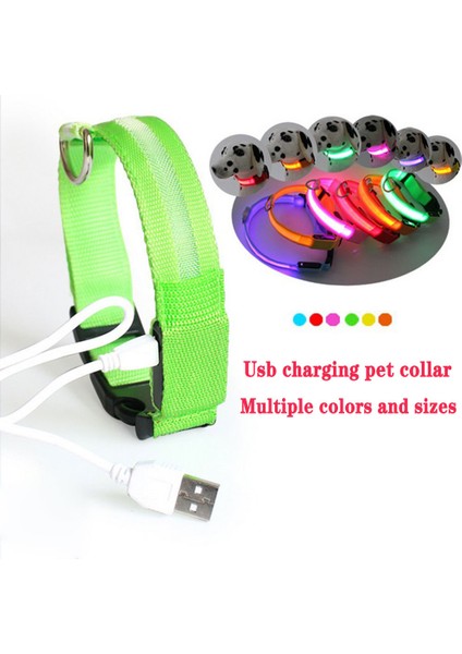 Mavi Stil Xl Boyutu Şarj Edilebilir Yanıp Sönen Gece Köpek Tasmaları USB Işıklı Ayarlanabilir Pet Yaka LED Işık Şarj Kedi Parlayan Teddy Flaş Yaka (Yurt Dışından) modelleri