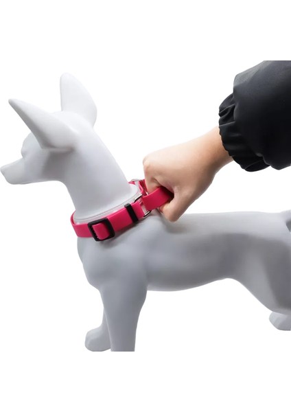 Mavi Stil M Boyutu Bir Köpek Için Su Geçirmez Yaka Pvc Tasma Saplı Köpek Için Su Geçirmez Köpek Tasması Pvc Tasma Bir Köpek Için Su Geçirmez Tasma (Yurt Dışından) indirimleri