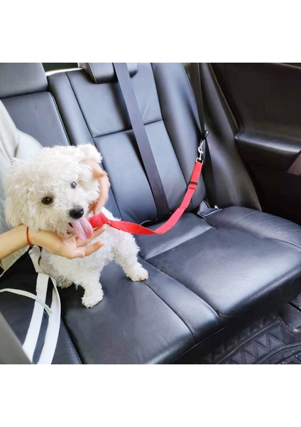 Siyah Stil Katı Ikisi Bir Arada Evcil Hayvan Araba Emniyet Kemeri Kurşun Tasma Arka Koltuk Emniyet Kemeri Ayarlanabilir Koşum Yavru Köpekler Için Yaka Evcil Hayvan Aksesuarları (Yurt Dışından) modelleri