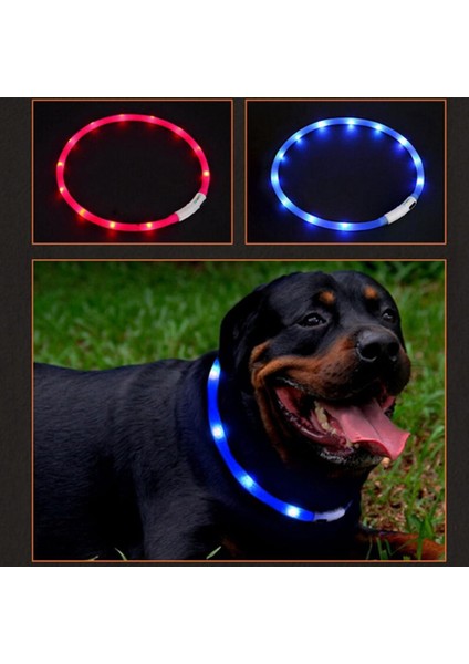 Turuncu Tarzı Yüksek Li Işıklı Yaka Uzun Bekleme Süresi Çıkarılabilir Esnek Pet LED Işıklı Güvenlik Tasması (Yurt Dışından) fiyatları