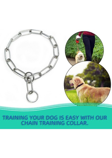 Ağır Metal Hizmet Katı Paslanmaz Çelik Köpek Choke Zincir Yaka Pet Kolye Pit Bull, Mastiff, Bulldog, Büyük Irklar Için (Yurt Dışından) fiyatları