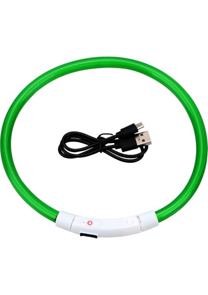 Yeşil Stil LED USB Köpek Tasması Pet Köpek Gece Aydınlık Şarj Yaka LED Gece Güvenlik Yanıp Sönen Kızdırma Köpek Kaybı Önleme Yaka Pet Aksesuar (Yurt Dışından)