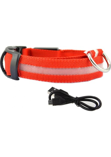 Kırmızı Stil S Beden USB Şarj Edilebilir Anti-Kayıp Yanıp Sönen Yaka Pet Kolye LED Köpek Yavrusu Hafif Tel Örgü Yalıtım Levhası Flaş (Yurt Dışından)