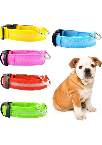 Kırmızı Stil S Beden USB Şarj Edilebilir Anti-Kayıp Yanıp Sönen Yaka Pet Kolye LED Köpek Yavrusu Hafif Tel Örgü Yalıtım Levhası Flaş (Yurt Dışından)
