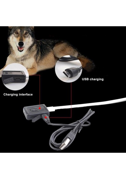Kırmızı Stil S Beden USB Şarj Edilebilir Anti-Kayıp Yanıp Sönen Yaka Pet Kolye LED Köpek Yavrusu Hafif Tel Örgü Yalıtım Levhası Flaş (Yurt Dışından)