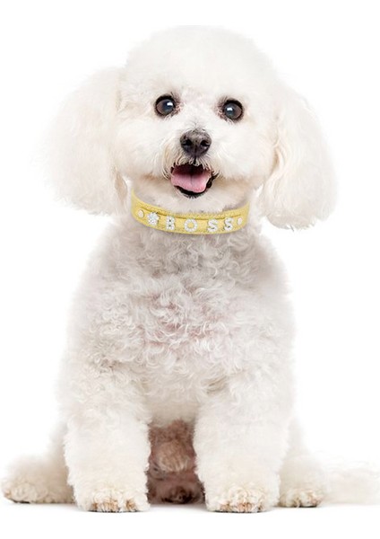 Kırmızı Stil L Boyutu Kişiselleştirilmiş Özelleştirilebilir Köpek Tasması Deri Ayarlanabilir Evcil Hayvan Yaka Parlak Taklidi Köpek Aksesuarları Güvenli ve Dayanıklı Köpek Tasması (Yurt Dışından) fırsatları