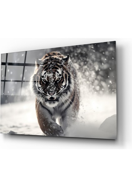 Kaplan Cam Tablo fiyatları