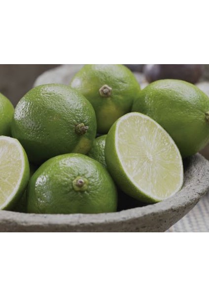 Tahiti Lime Içi Dışı Yeşil Bol Sulu Limon Fidanı modelleri