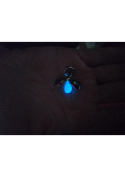 Orjinal 925 Ayar Gümüş Karanlıkta Parlayan Ateş Böceği Temalı Charm modelleri