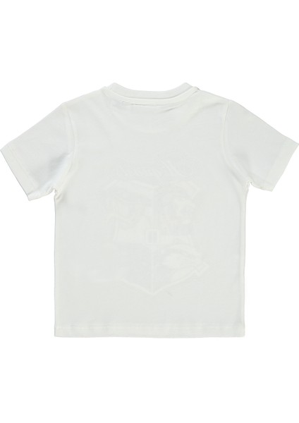Erkek Çocuk Tişört 2-5 Yaş Ekru fiyatları