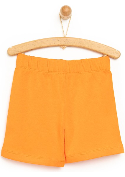 Basic Şort Erkek Bebek