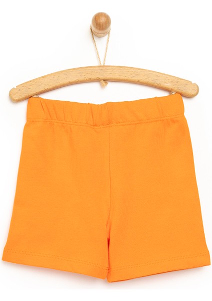 Basic Şort Erkek Bebek fiyatları