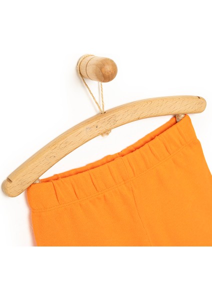 Basic Şort Erkek Bebek modelleri