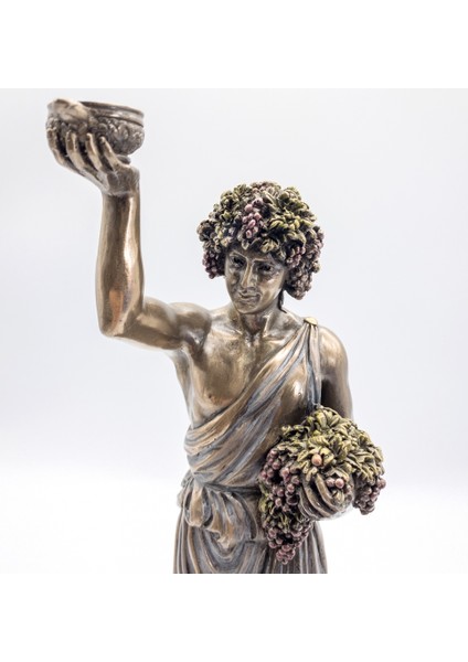 Wıse Dıonysus BİBLO-WU77406A4 fırsatları