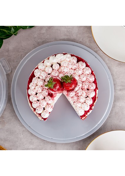Yuvarlak Kek Pasta Börek Saklama Kabı - Kilitli Kapaklı Taşıma Fanusu 25 cm fırsatları