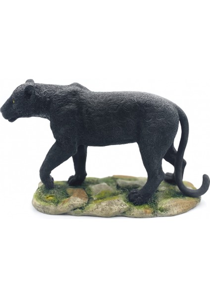 Wıse Siyah Panter BİBLO-WU75481AA modelleri