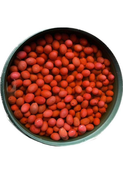 Gurme Kahvaltılık Pancarlı Kalamata Zeytin - Özel Renkli Sunum, Katkısız, Doğal 140-160 Klb 10 KG fiyatları