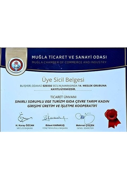 EGEKADINKOOP Yaban Mersini Kuru Meyvesi 50 Gram