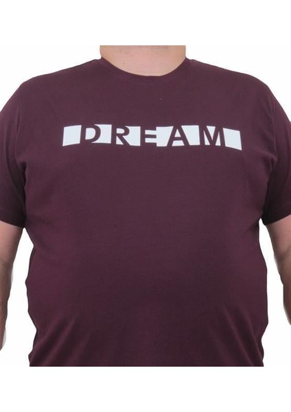 Erkek Büyük Beden Sıfır Yaka Tişört Dream 24140 Murdum fiyatları