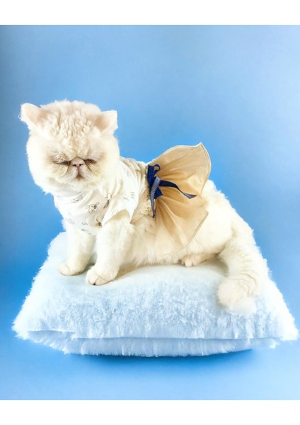 Navy Creamy Tütülü Kedi Elbisesi Kıyafeti Tutu