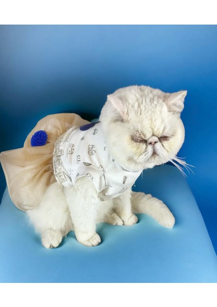Navy Creamy Tütülü Kedi Elbisesi Kıyafeti Tutu indirimleri