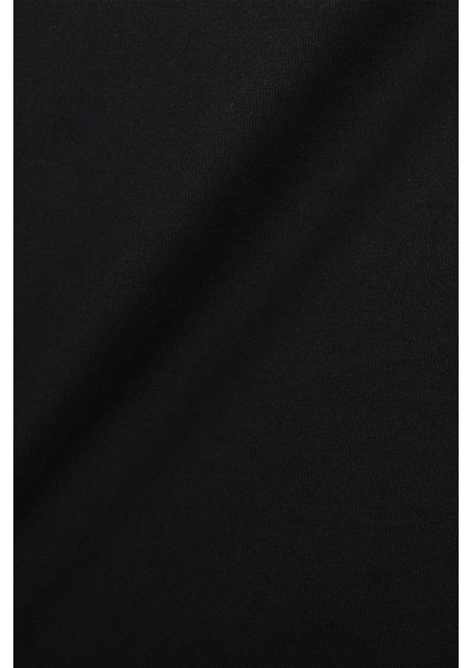Erkek Siyah Scp Foundation Essential T-Shirt fiyatları