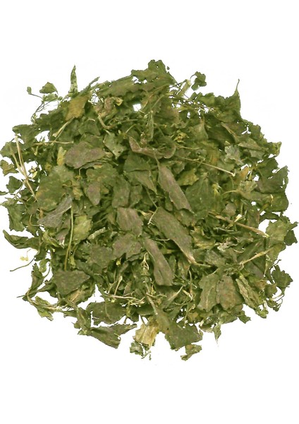 Fesleğen 20G fiyatları
