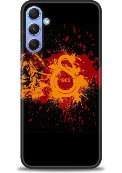 Samsung Galaxy A34 5g Uyumlu Kılıf Hd Baskılı Kılıf - 79