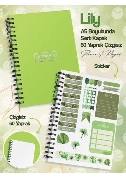 Notebook Sticker'lı 4'lü Çizgisiz Defter Seti (21 x 14,8 cm 120 Sayfa) Planlayıcı Defter SETI-T968